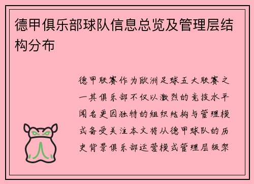 德甲俱乐部球队信息总览及管理层结构分布